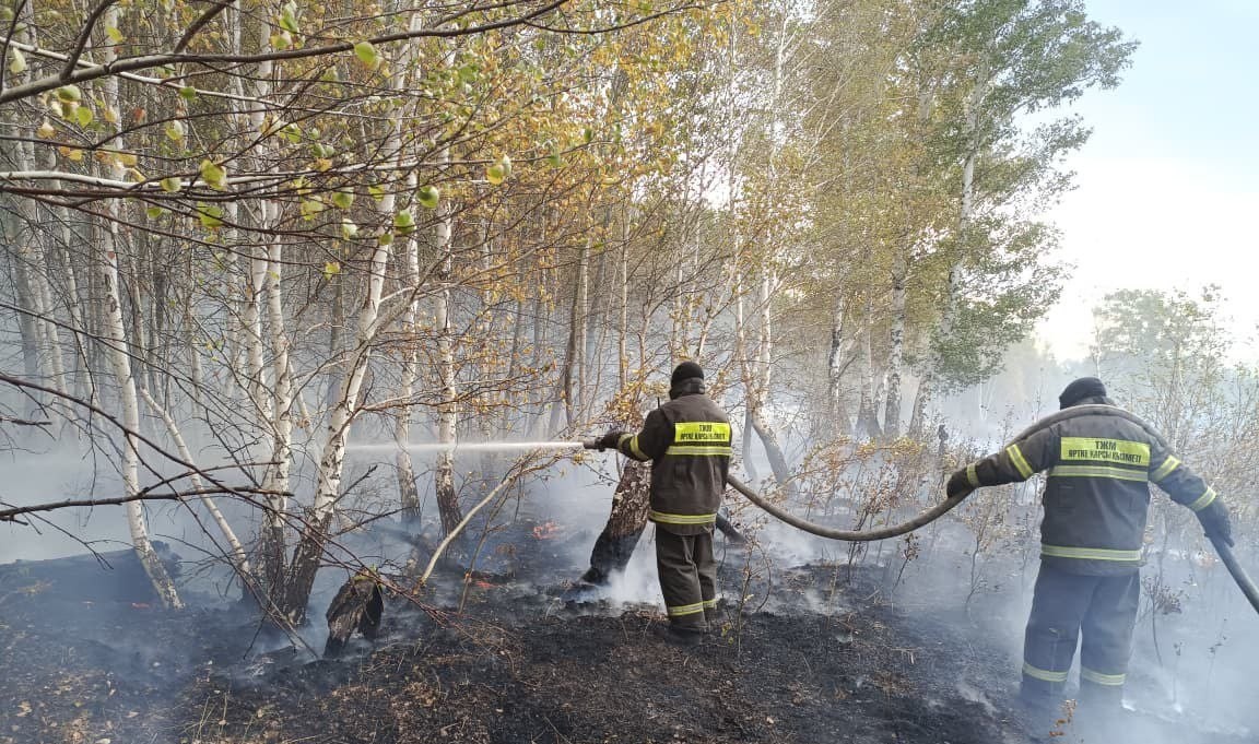 Баянауылдағы өртті сөндіруге әуе кемелері жұмылдырылды