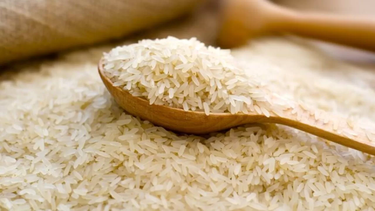 Более 600 тонн продуктов привезут в Астану на первую осеннюю ярмарку 