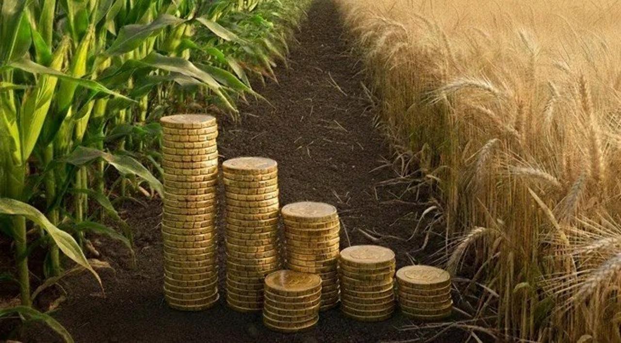 Қазақстанда егістікті құрғақшылықтан сақтандыру маусымы аяқталды