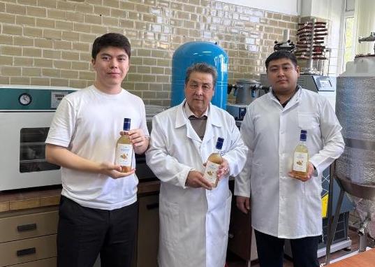 Қазақстандық ғалымдар бал мен зімбірден жаңа сусын әзірледі