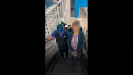 В Казахстан вернули фигурантку Finiko, разыскиваемую несколько лет