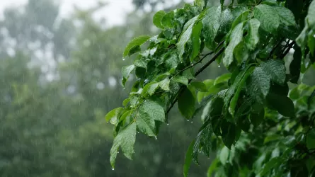 Дожди и грозы на севере, до +33 &deg;C на юге: погода в Казахстане 14 сентября 