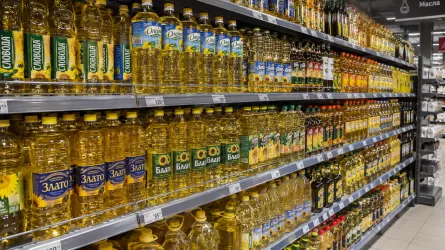 Производство растительного масла резко выросло в Казахстане 