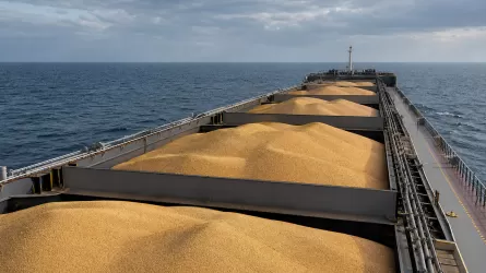Россия готовит для зерна пути в обход Черного моря