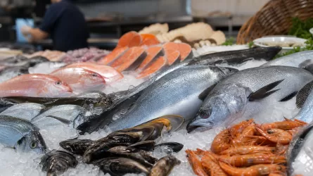 Казахстанцы стали есть больше рыбы и морепродуктов 