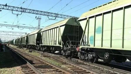 Соседняя страна забрала почти половину экспорта казахстанского зерна 