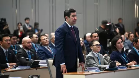 Кто может занять пост главы Қазақстан Халық Кеңесі