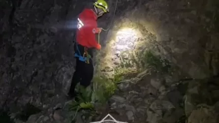 Спасатели пришли на помощь двум подросткам в горах Алматы