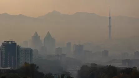 Семь городов Казахстана оказались в зоне "черного неба"