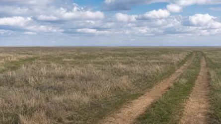 Как в Актюбинской области вернули 36 тыс. га земли  