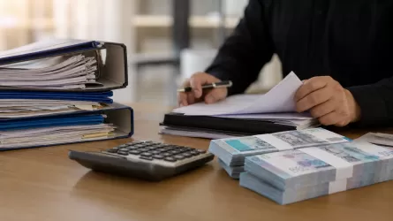 В похищении 21,5 млн тенге подозревают бухгалтера детского сада 