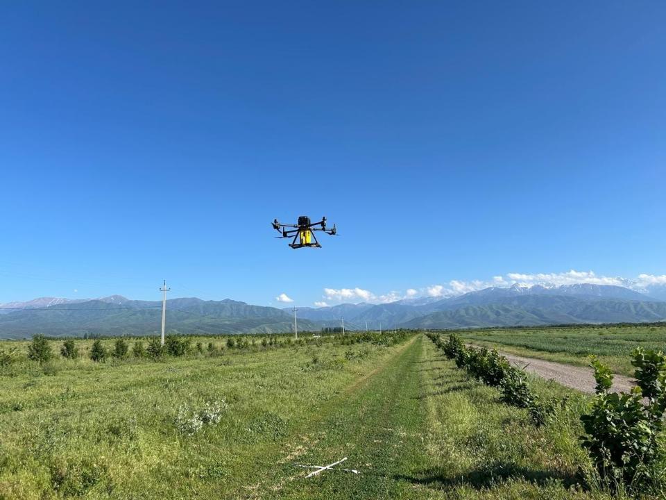 Ғалымдар дрон арқылы зиянкестермен күресудің жаңа тәсілін ұсынды