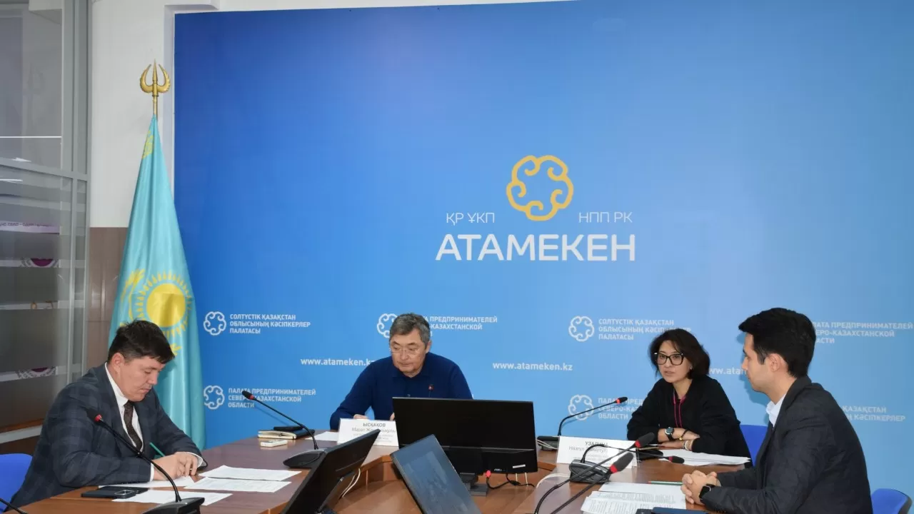 Системные проблемы туризма назвали в СКО 