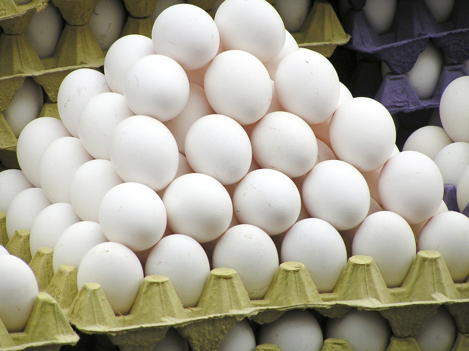 Действия Кыргызстана по ограничению ввоза яиц из СКО в Казахстане назвали неправомерными