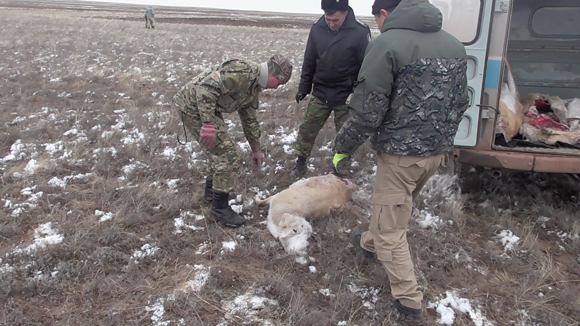 Природе Казахстана за последние три года браконьеры нанесли ущерб более чем на 3,5 млрд тенге  