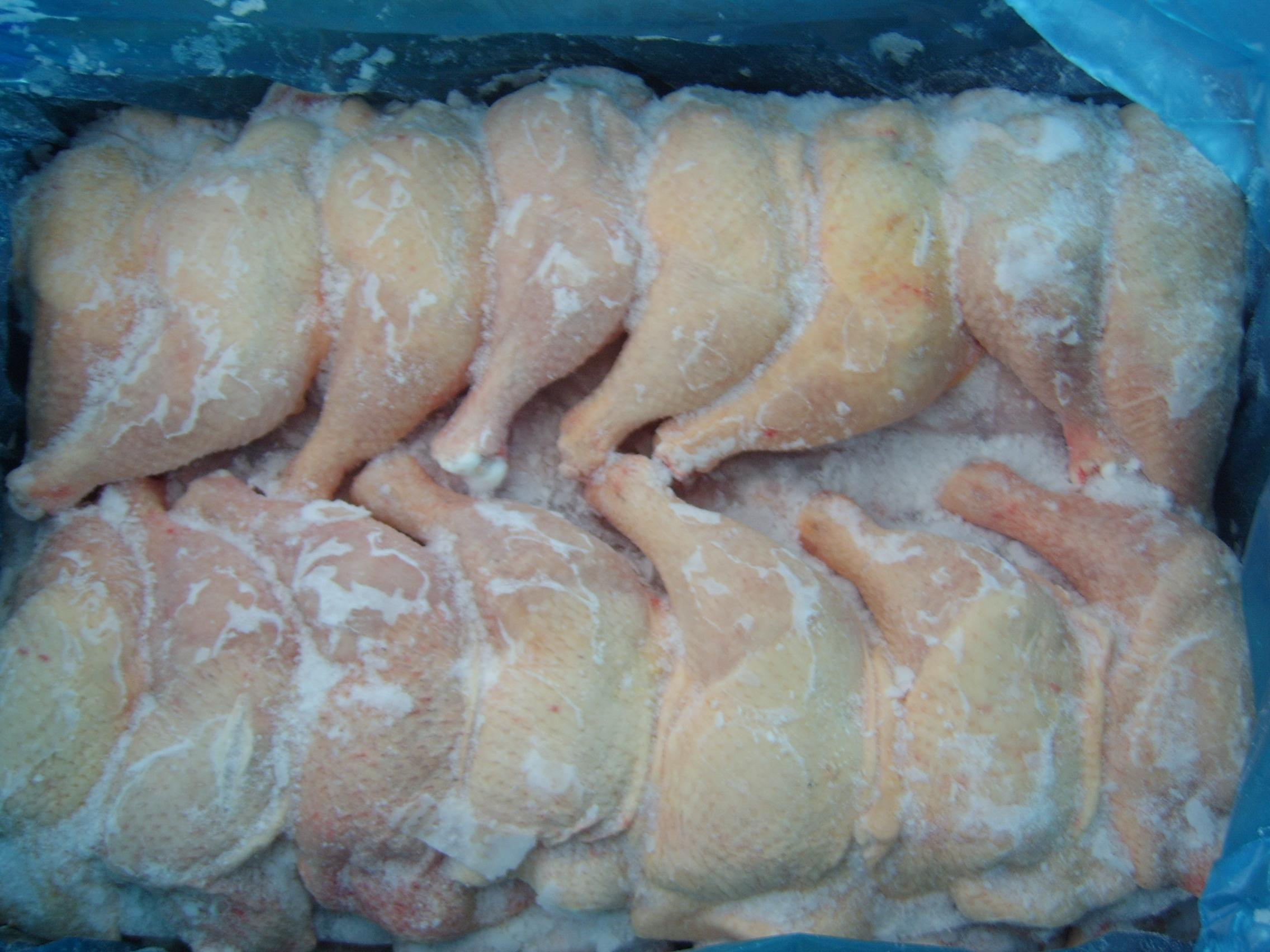 Кишечная палочка найдена в замороженной курице в Актюбинской области