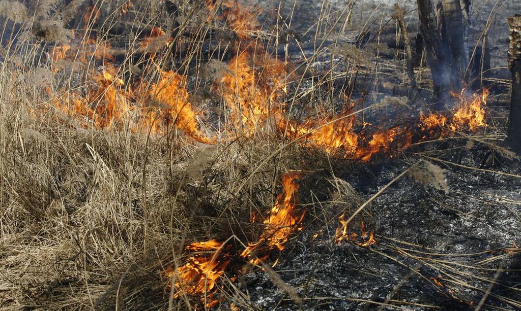 Пожарные ВКО усиленно тушат загорания сухой травы.