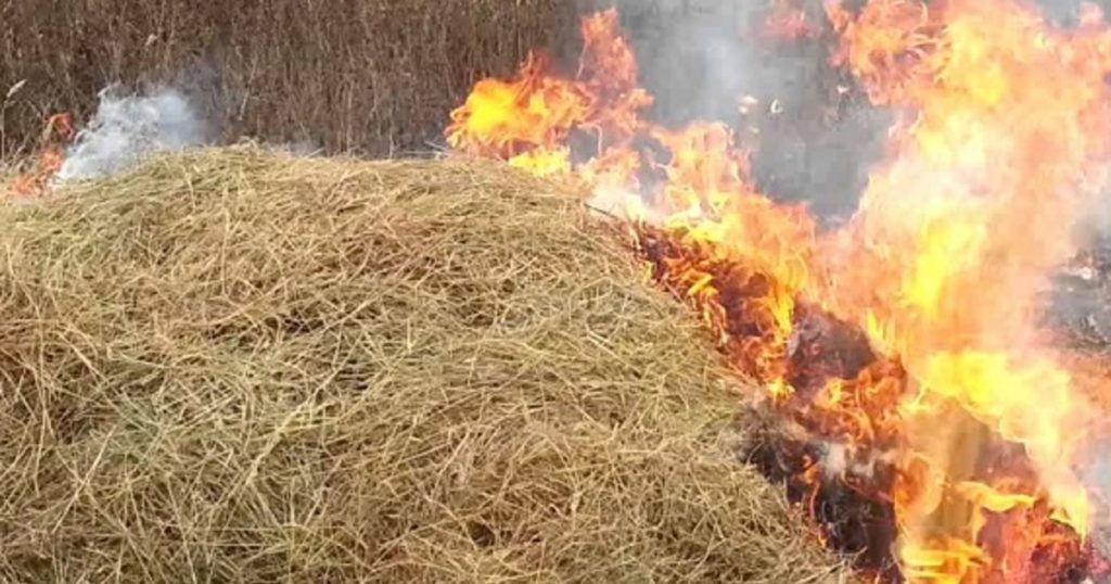 Шаруаның 180 тонна шөбі өртеніп кетті