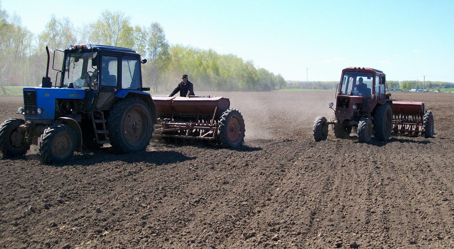 Былтыр Түркістан өңірінде егістік жердің көлемі 16 мың гектарға кеңіді