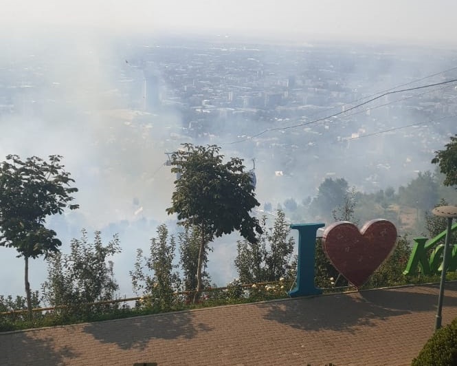 Третье за сутки возгорание сухостоя потушили на склоне горы Кок-тюбе в Алматы 