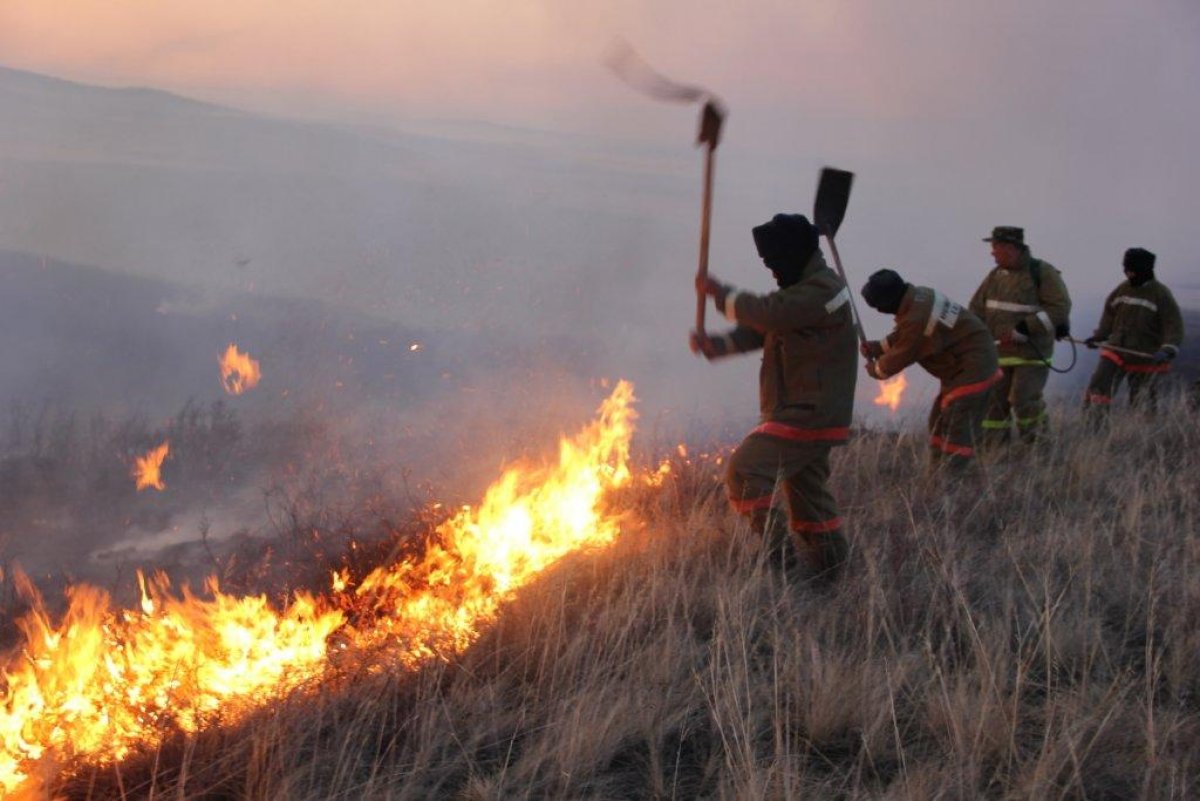 Три человека погибли при пожаре в горах в Алматинской области