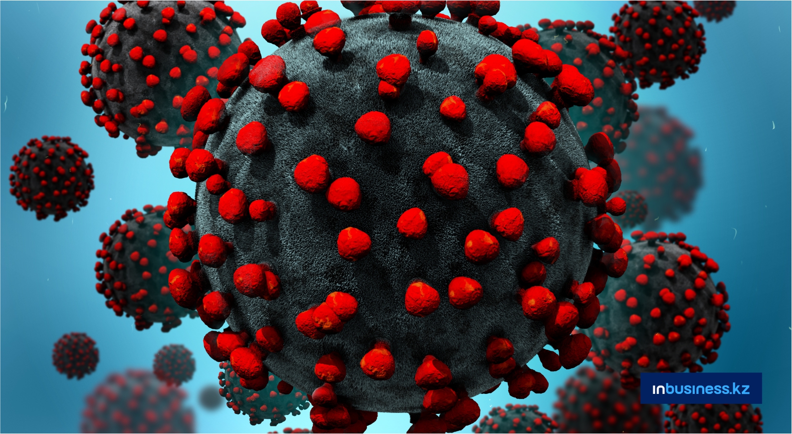 Число жертв коронавируса в мире превысило 537 000 человек   