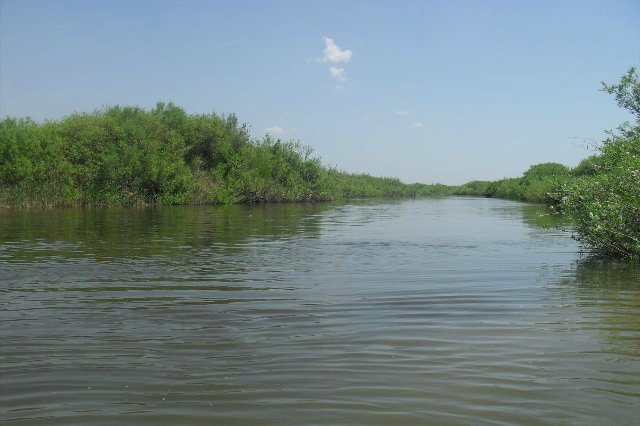 Министрлік Жайық өзені жағалауына жүргізілген тексеріс нәтижесін жариялады