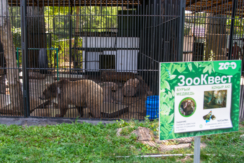 Алматинский зоопарк подал в суд на "зоозащитников"