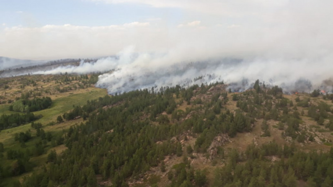 В Карагандинской области горят 2700 га леса