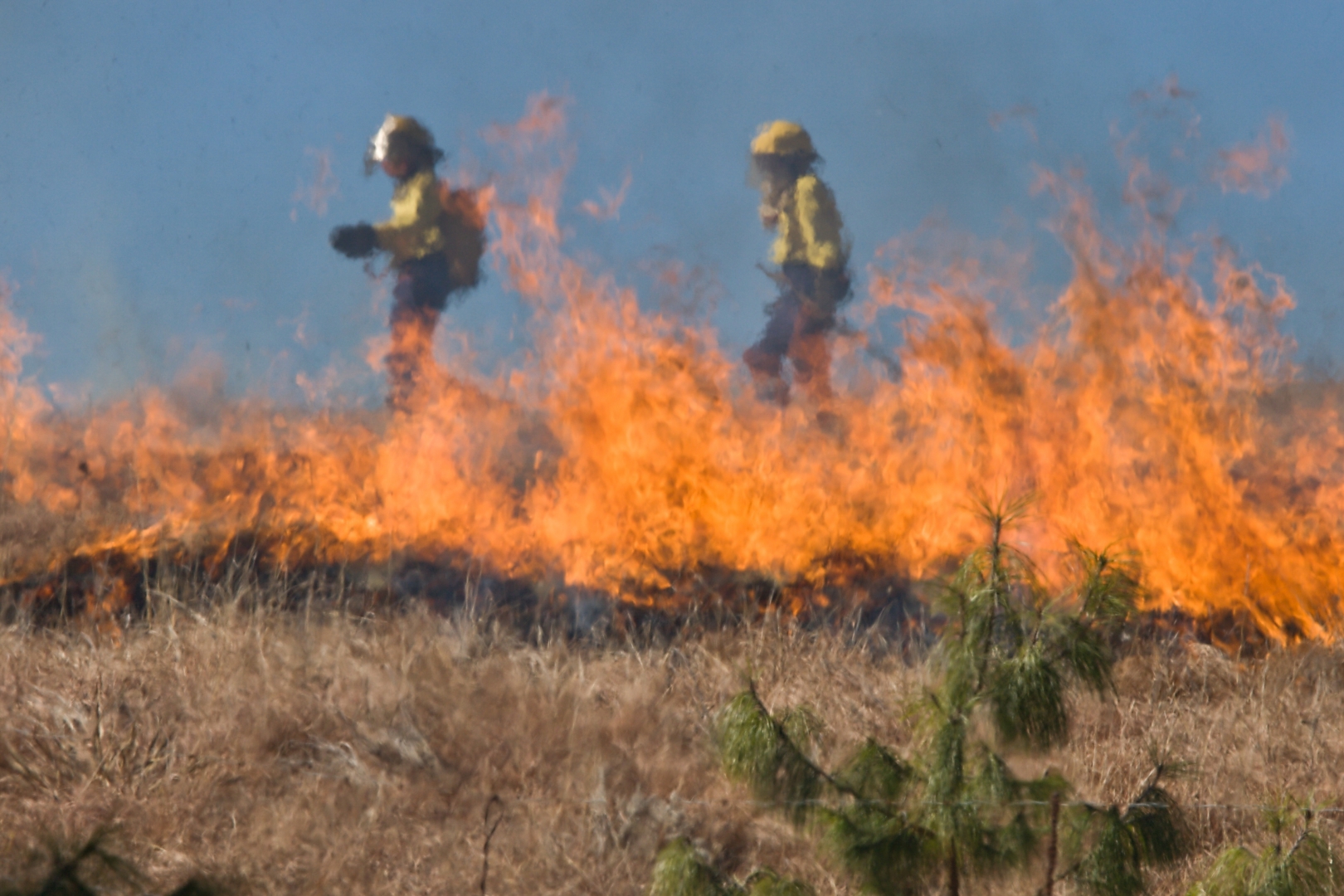Более 200 человек тушат пожар в горной местности ВКО 