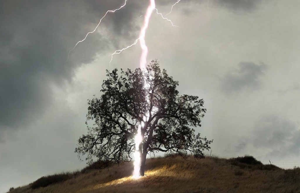 Молния ударила в дерево во время турнира по гольфу в США