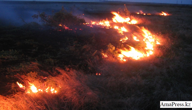 Степной пожар на границе Казахстана с Кыргызстаном удалось остановить 