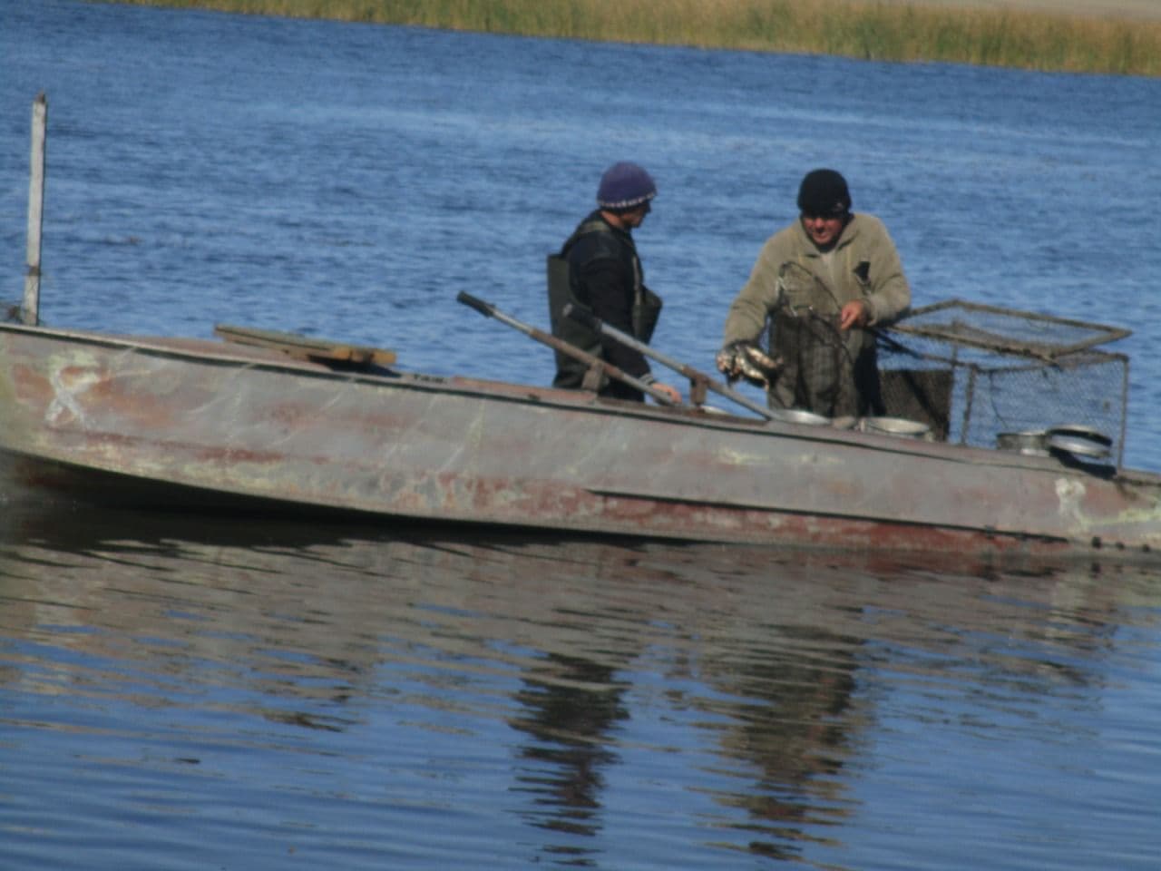 С начала года в водоемах Казахстана экологи спасли 85,2 млн единиц молоди рыбы
