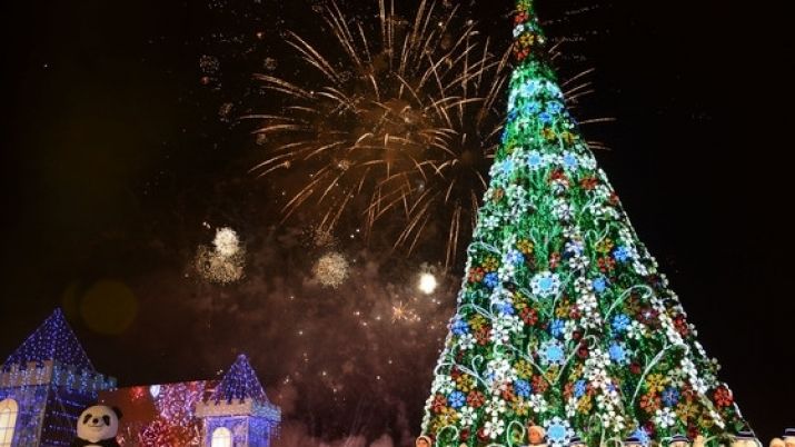 Церемония зажжения главной новогодней ёлки Астаны состоится на территории Экспо