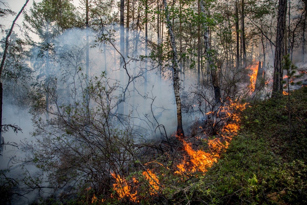 Два вертолета Казахстана тушат лесные пожары в Турции. Видео