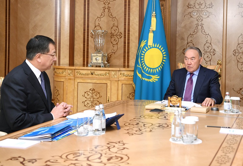 Нурсултан Назарбаев принял зампреда Ассамблеи народа Казахстана
