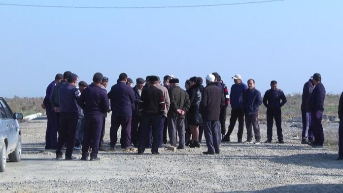 Ордабасы тұрғындары қытайлықтардың зауыт салуына қарсы шықты