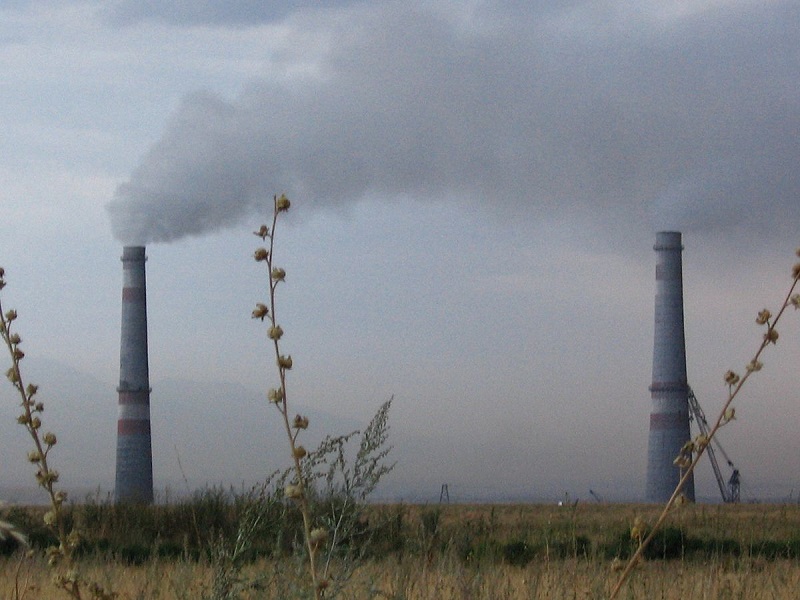 Казахстанская компания планирует построить в Атырау ТЭЦ на биотопливе из камыша  