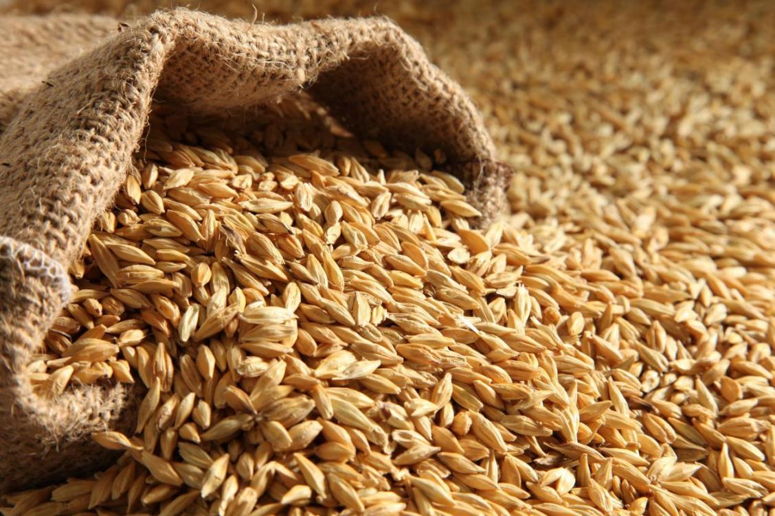 В Казахстане на 6 ноября намолочено 22,781 млн тонн зерна 