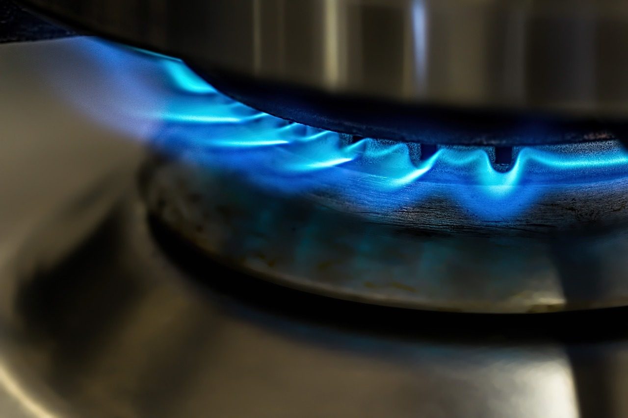 ФСЭГ ждет роста мирового спроса на газ по 1,6-1,7% в год до 2030 года