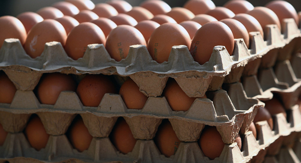 Рост цен на яйца в Казахстане производители назвали сезонным