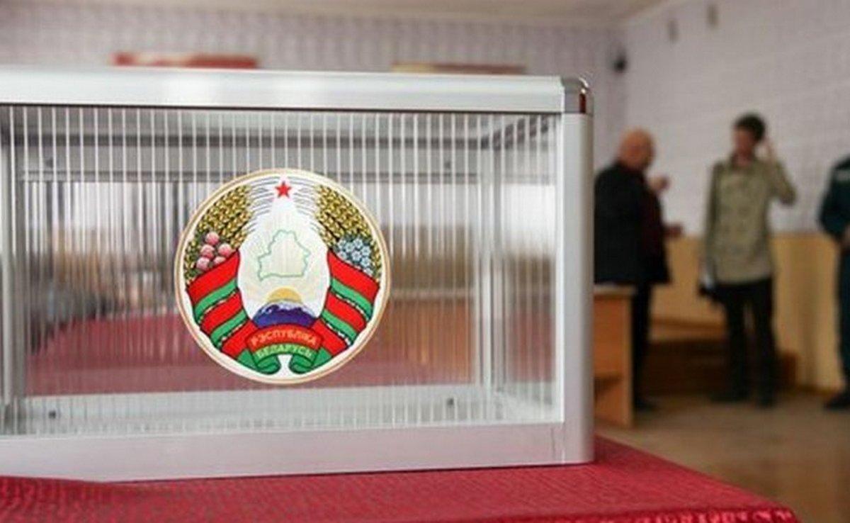Почти 250 международных наблюдателей аккредитовано на выборы президента Беларуси