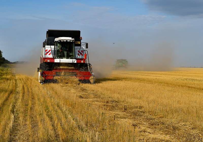 Валовый сбор зерновых в РК прогнозируется на уровне 20 млн тонн в 2018 году – Шукеев