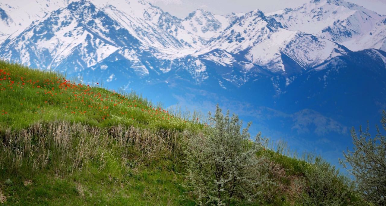 Новый рекорд установили на алматинском горном супермарафоне
