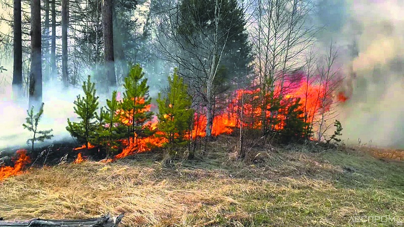 Третий вертолет направлен для тушения лесного пожара в ВКО 