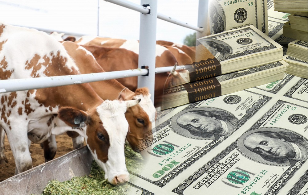 Всемирный банк решил выдать Казахстану $500 млн на развитие животноводства