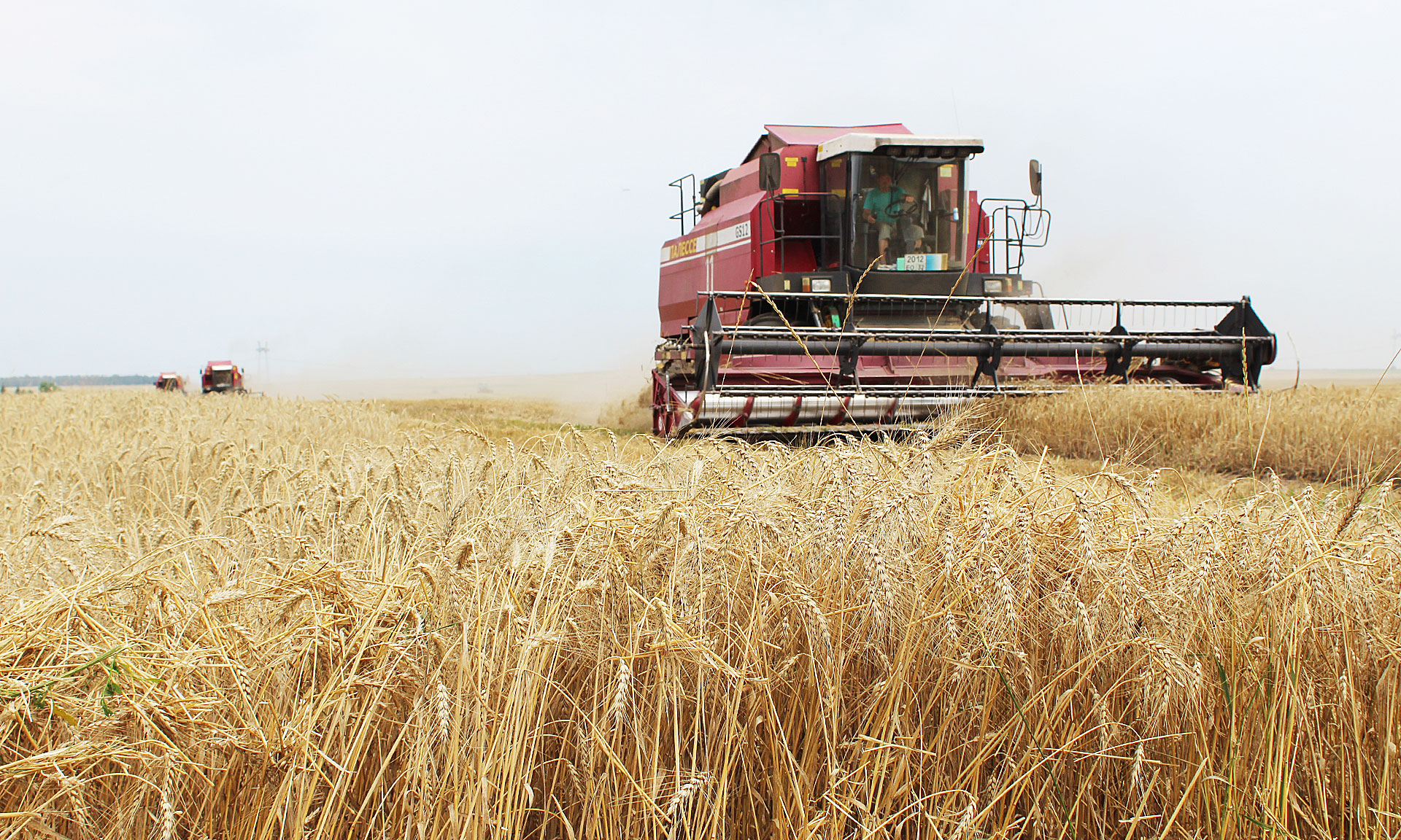 Казахстан с начала уборочной кампании намолотил 4,3 млн тонн зерна
