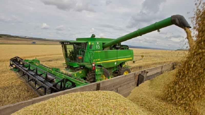 Экспортный потенциал зерна составит 7,5-8 млн тонн  