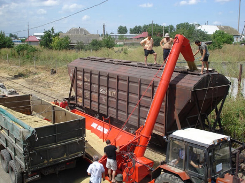Компания "Астық Транс" сообщила о повышении стоимости предоставления вагонов-зерновозов 
