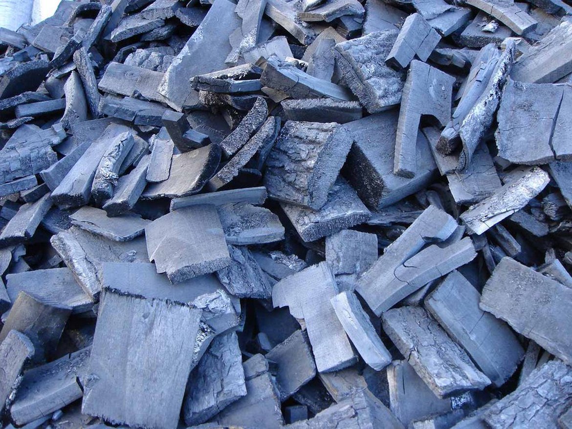 Нелегальный цех по производству древесного угля выявили в Петропавловске